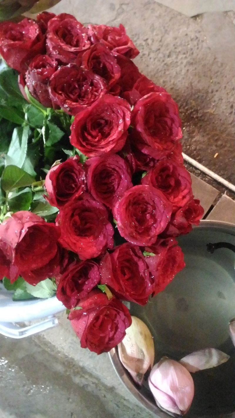 AMAN_574